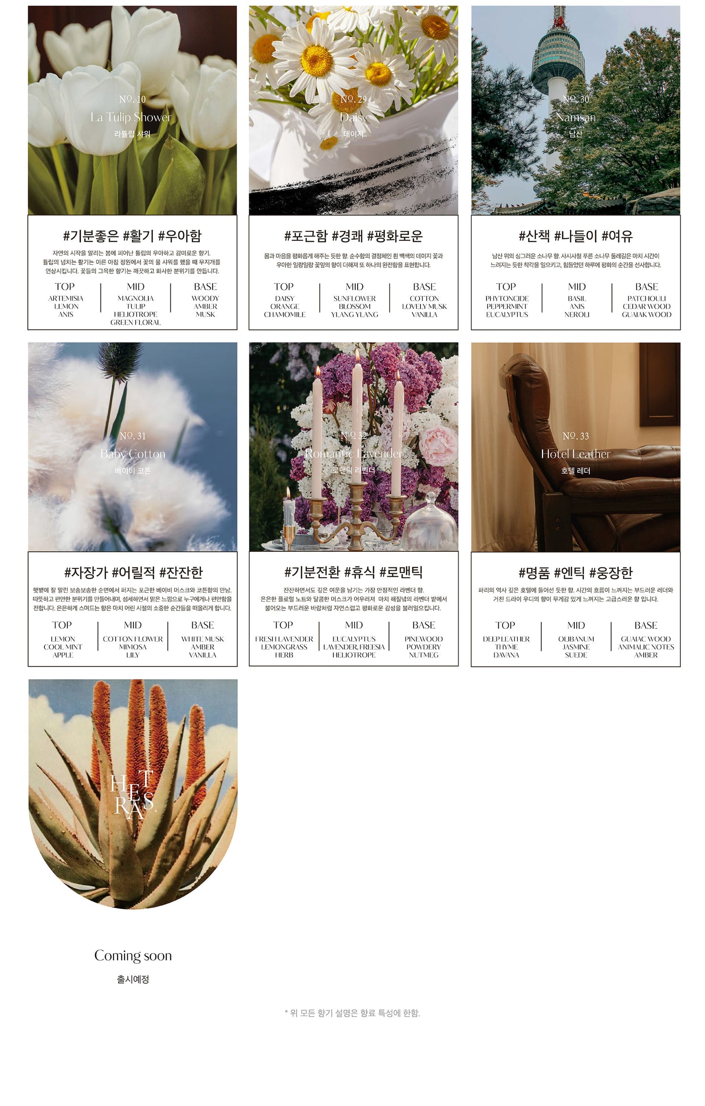 Premium Diffuser 2ea