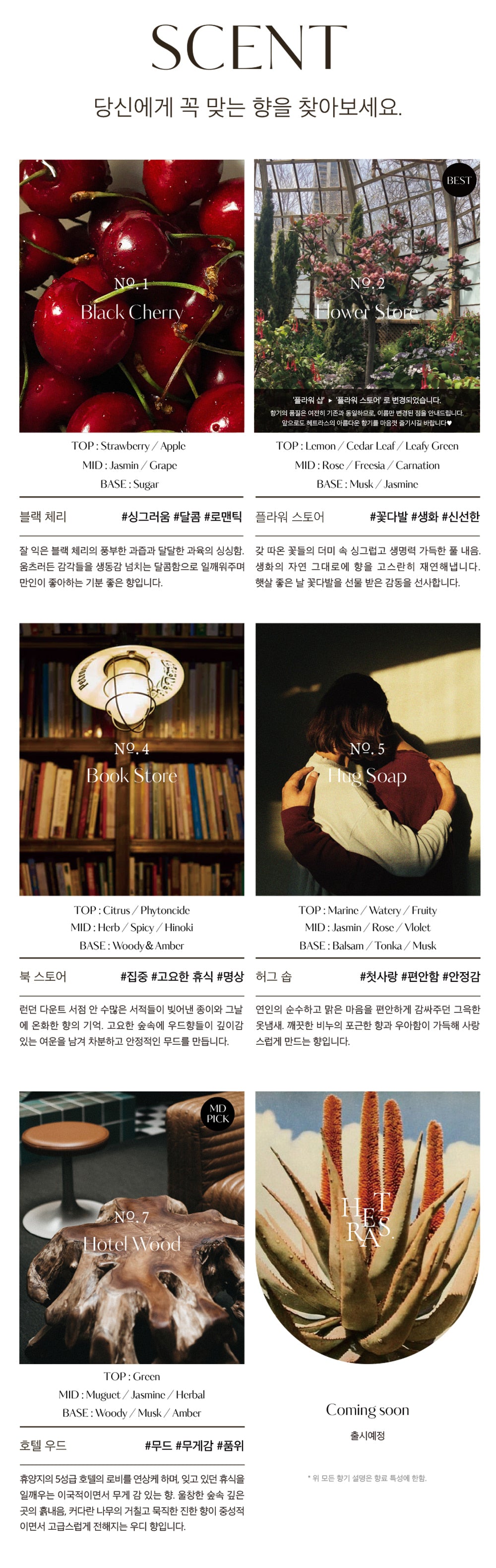 Premium Car Diffuser 2ea