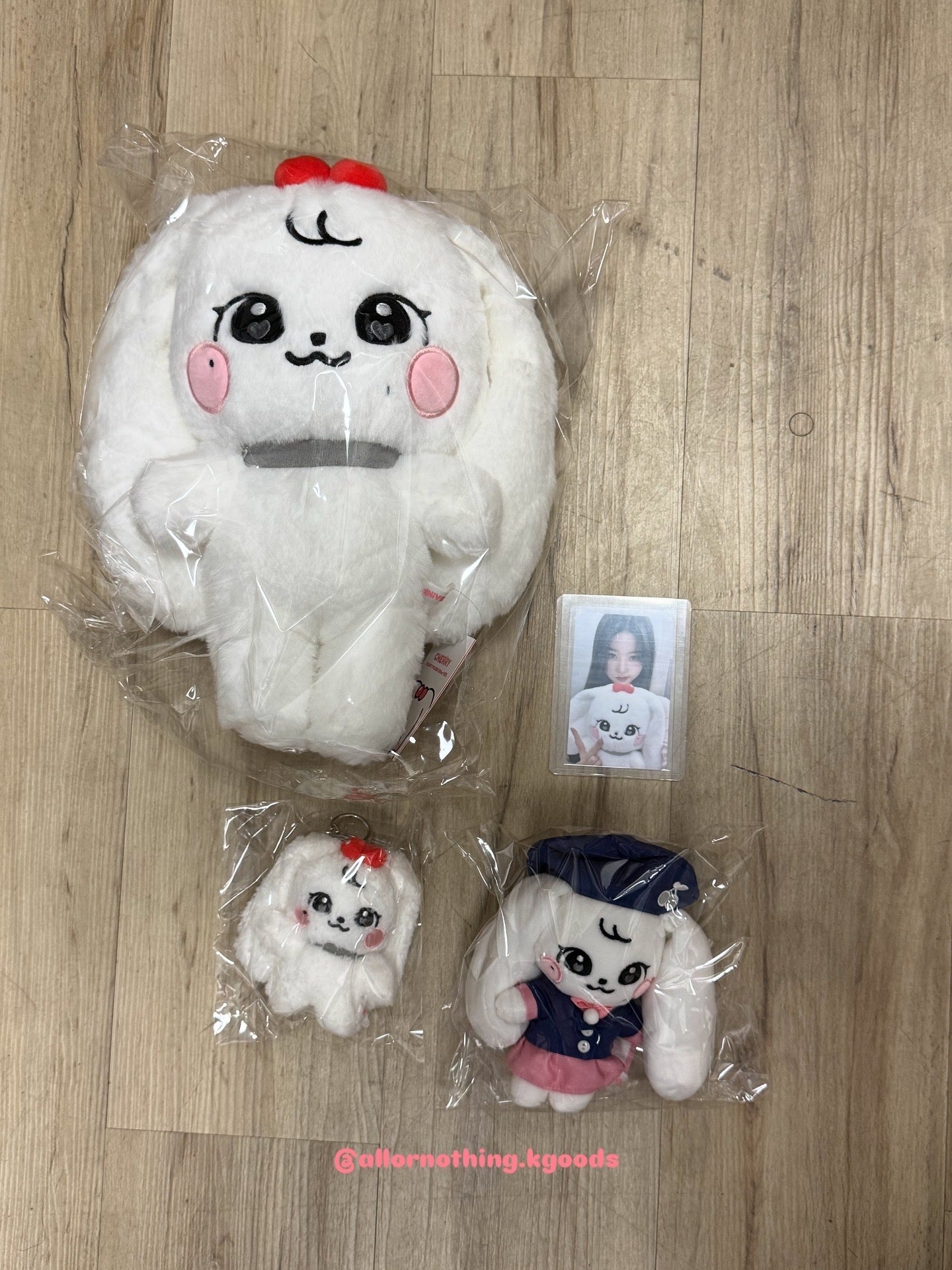 In-stock | IVE x MINIVE ’MINIVE SCHOOL‘ MD